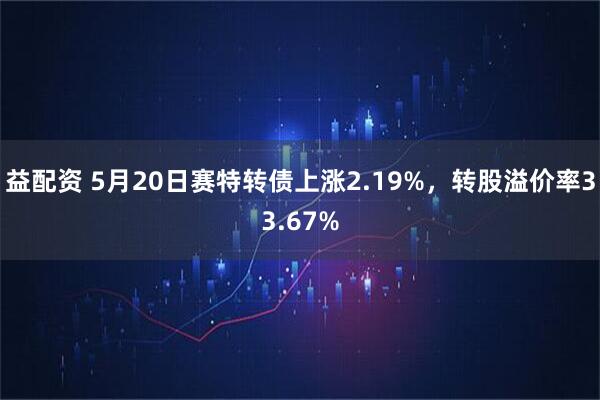 益配资 5月20日赛特转债上涨2.19%，转股溢价率33.67%