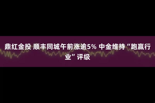 鼎红金投 顺丰同城午前涨逾5% 中金维持“跑赢行业”评级
