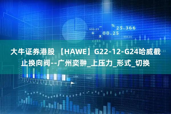 大牛证券港股 【HAWE】G22-12-G24哈威截止换向阀--广州奕翀_上压力_形式_切换